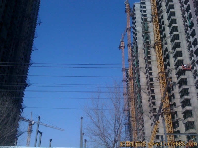 手机照片 1147.jpg