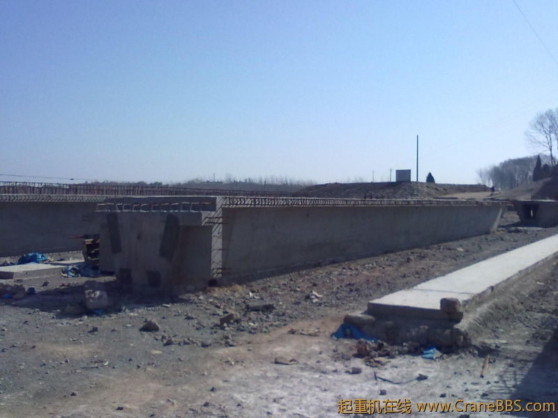 20110317061.jpg