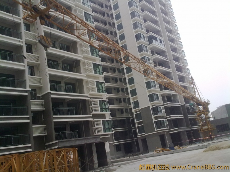 20110311603.jpg