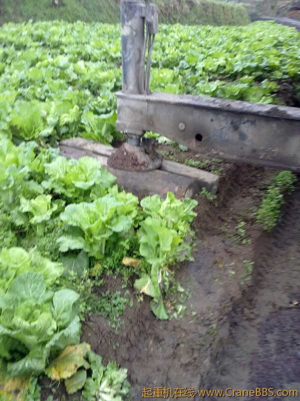 20110323228.jpg