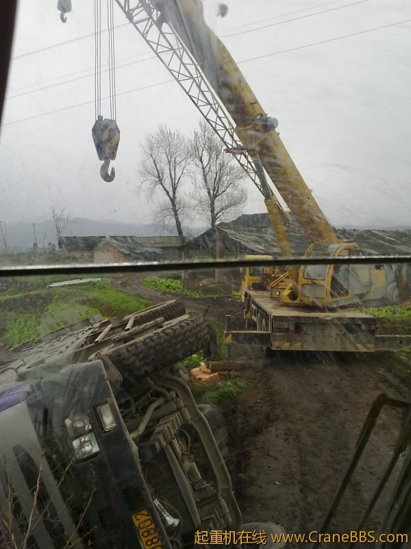 20110323229.jpg