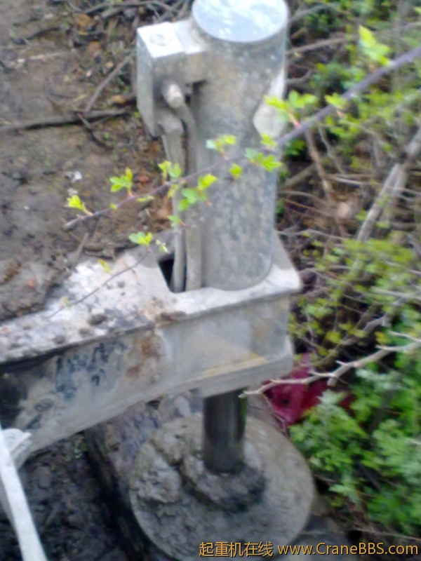 20110323231.jpg