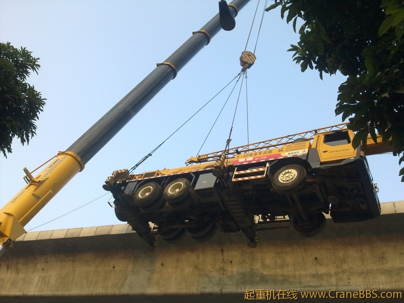 20110116131.jpg