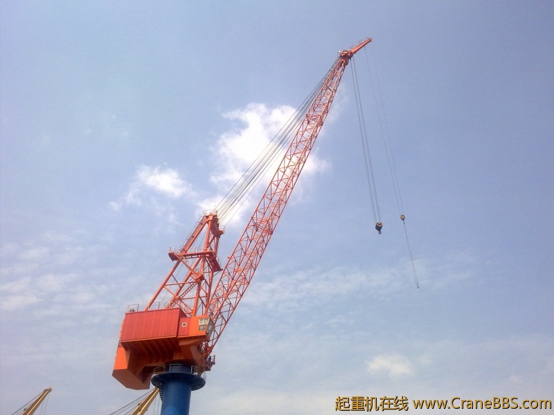 20110322037.jpg