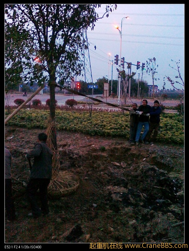 nEO_IMG_20110323949.jpg
