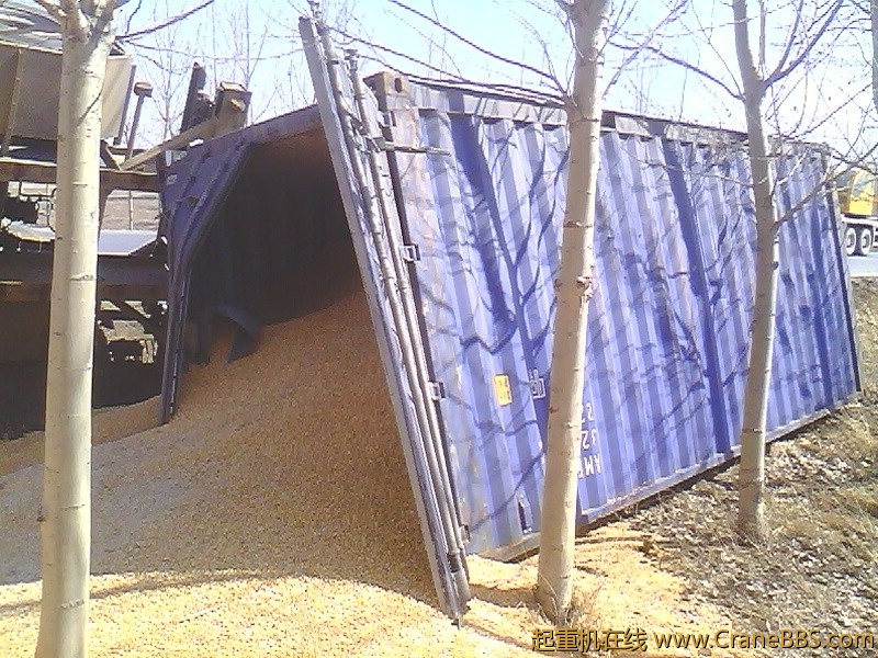 IMG0395A.jpg