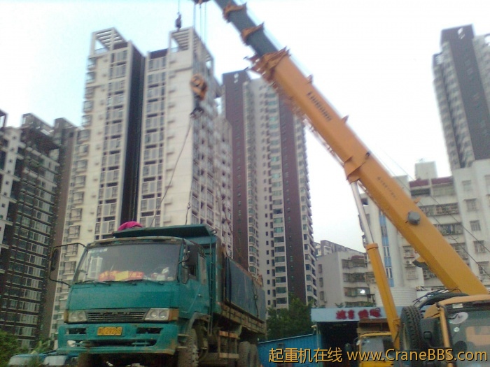 图像0503.jpg