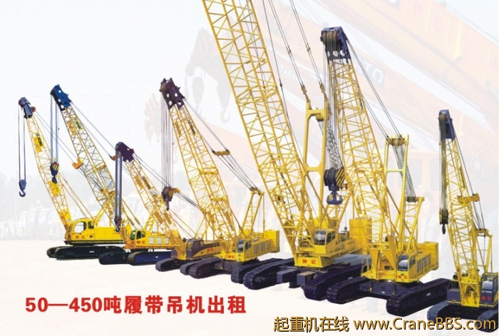 zhongji5.jpg