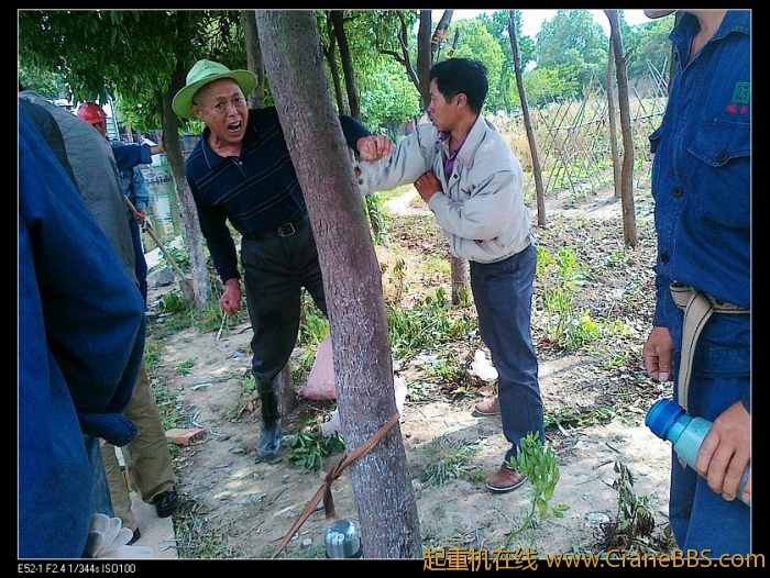 老爷子很给力啊