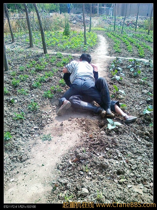 还是矮个子赢了