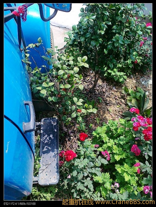 骑花坛上去了