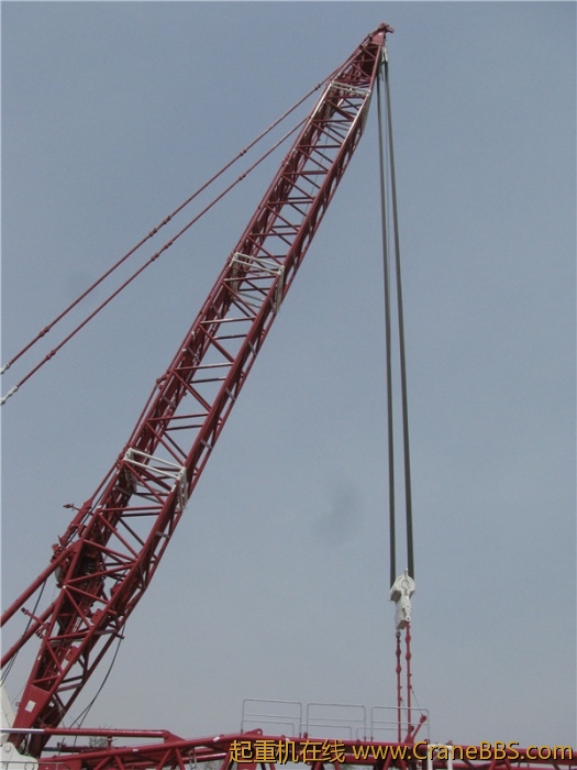 照片 081_副本.jpg