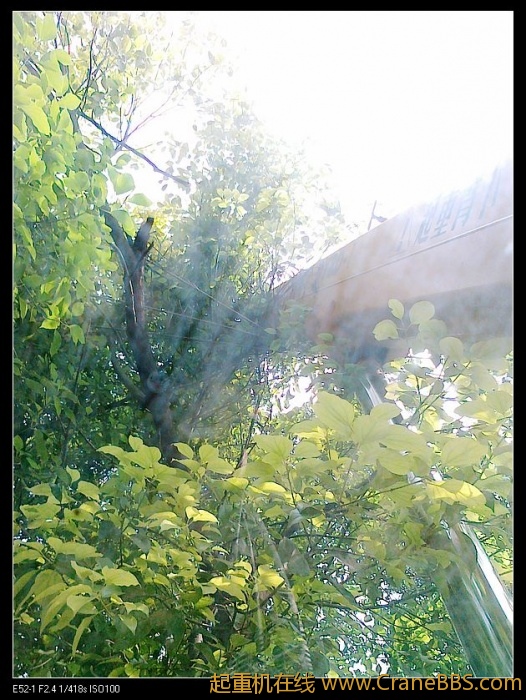 nEO_IMG_201105281830.jpg