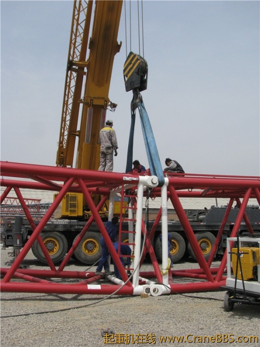 照片 113_副本.jpg