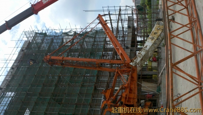 2011-05-10_11-09-42_314.jpg