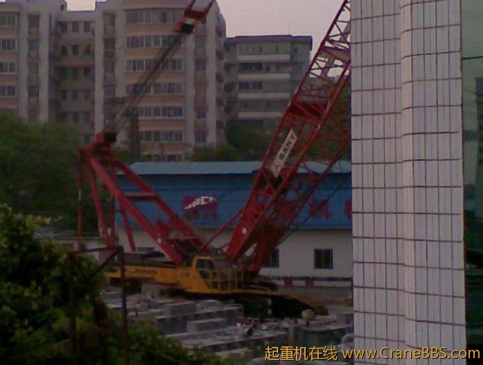 图像002.jpg