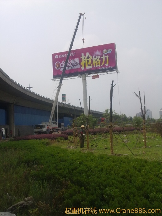 20100102471.jpg