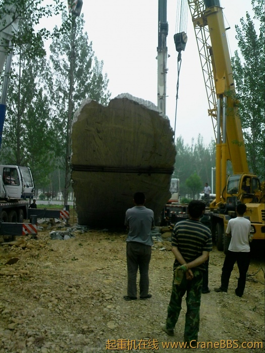 旋转 110530A000.jpg