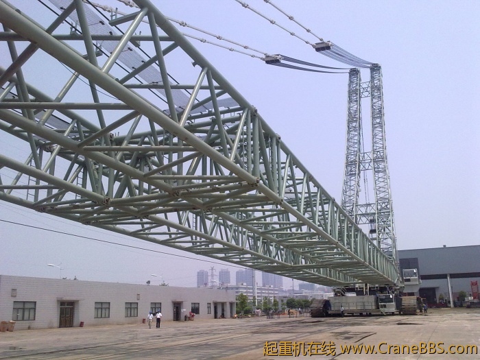 20110528107.jpg