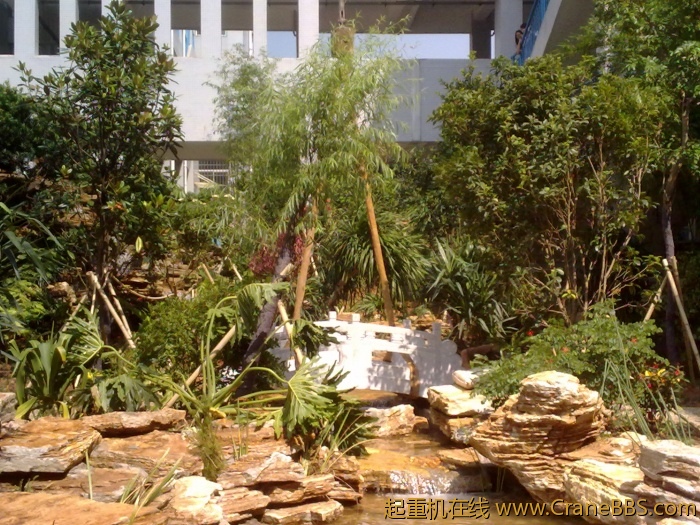 20110531778.jpg