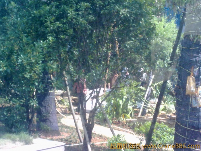 20110531773.jpg
