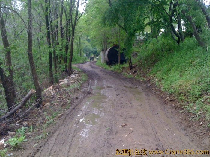 手机照片 2742.jpg