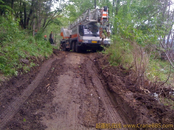 手机照片 2725.jpg