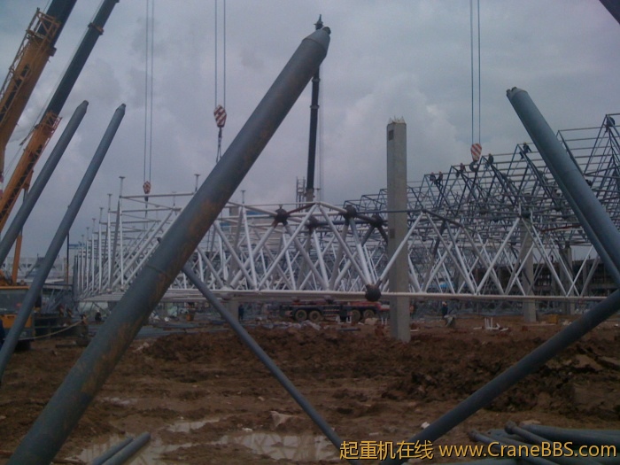 手机照片 2786.jpg