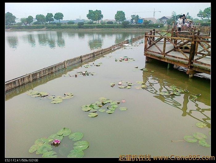 冒失  米啥荷花啊