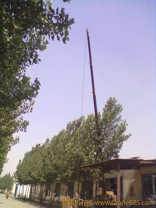20110602022.jpg