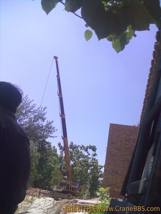 20110601019.jpg