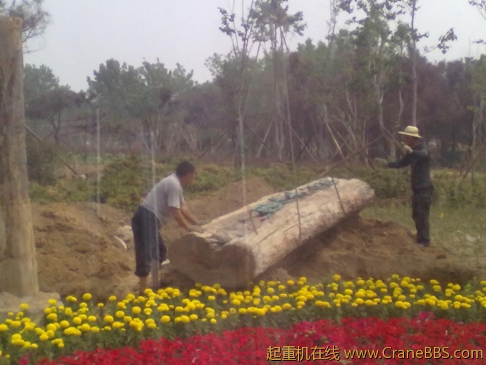 20110608354.jpg