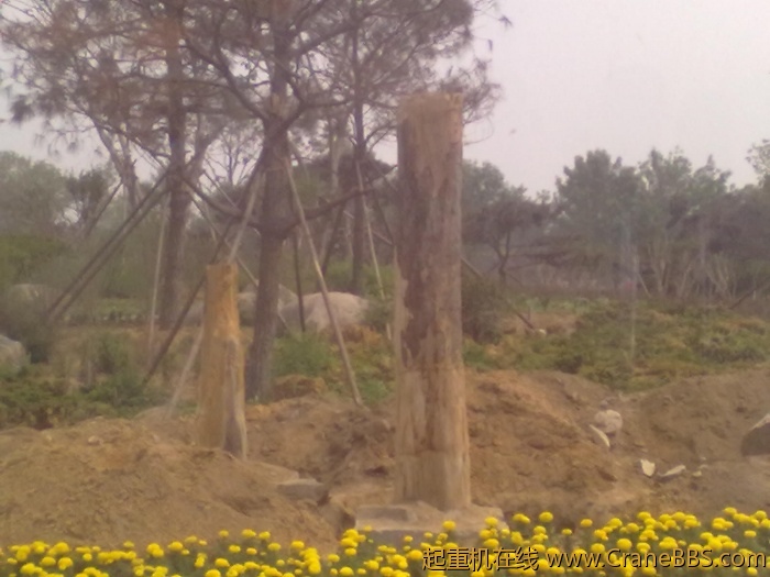 20110608355.jpg