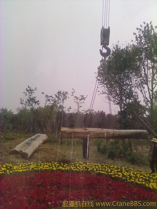 20110608356.jpg