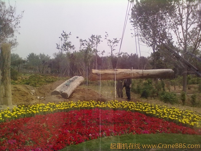 20110608357.jpg