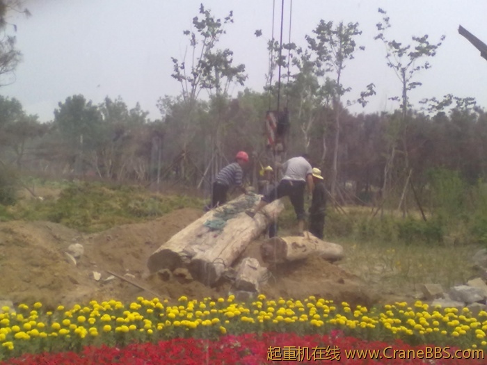 20110608360.jpg