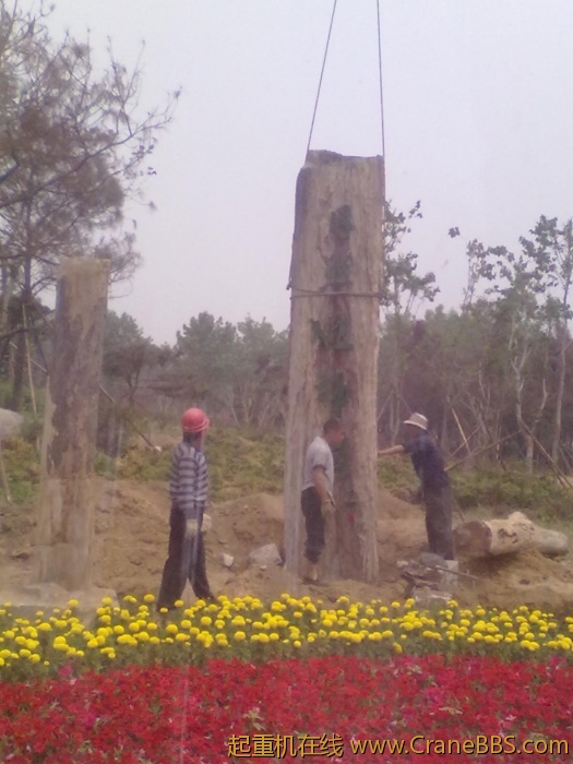 20110608361.jpg