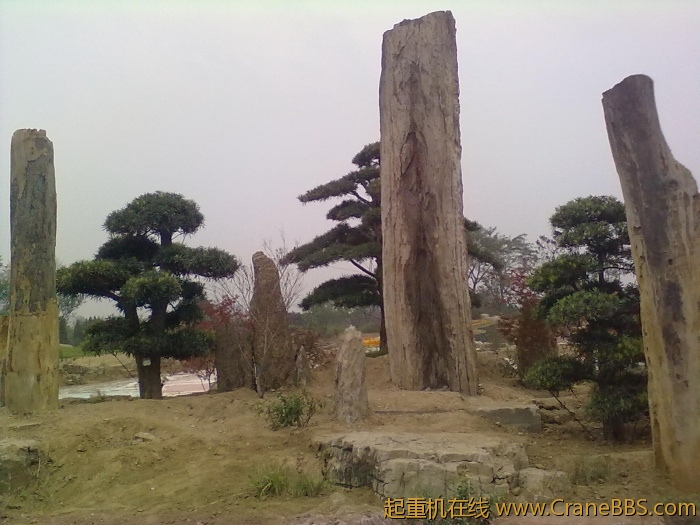20110530290.jpg