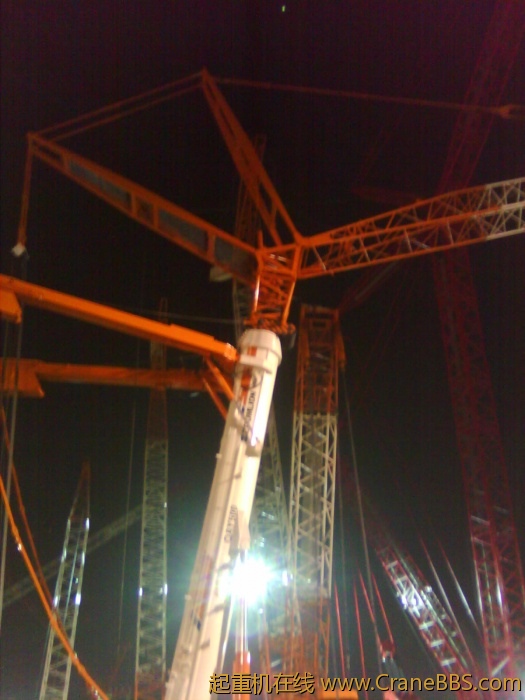 IMG0217A.jpg