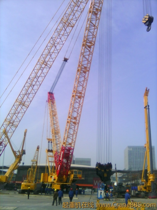 IMG0189A.jpg