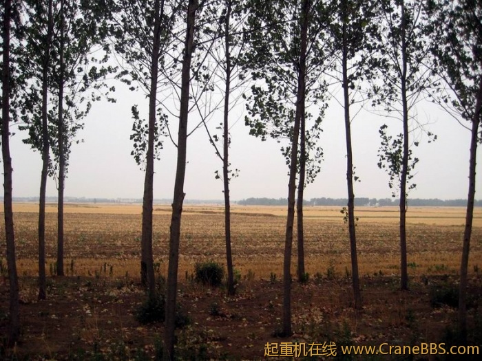 调整大小 IMG_5679.JPG