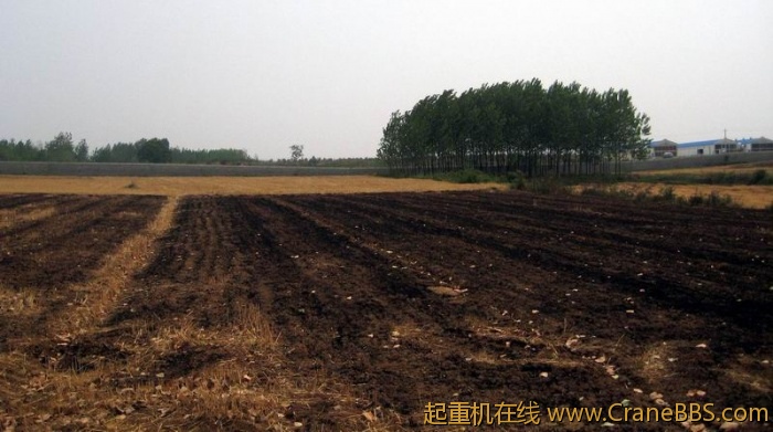 调整大小 IMG_5682.JPG