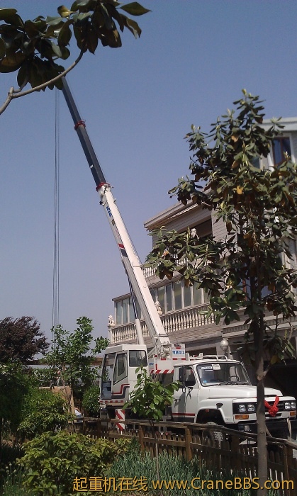 IMAG0044.jpg