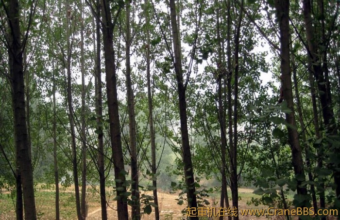 调整大小 IMG_5791.JPG