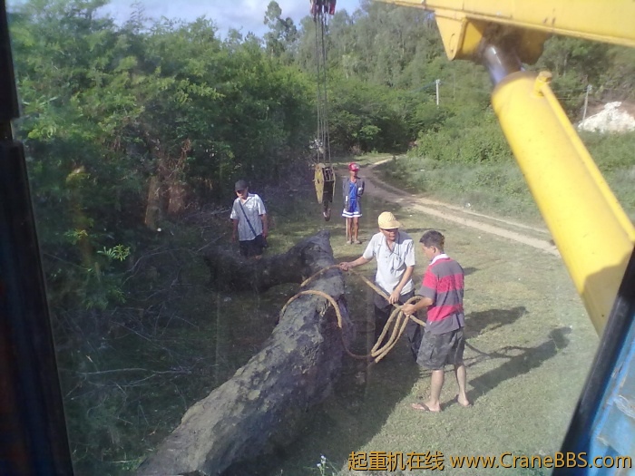 20110614314.jpg