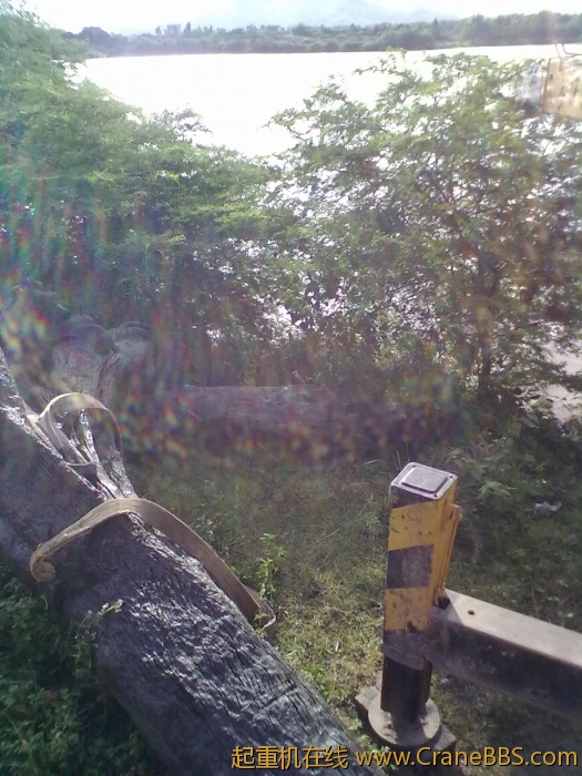 20110614316.jpg