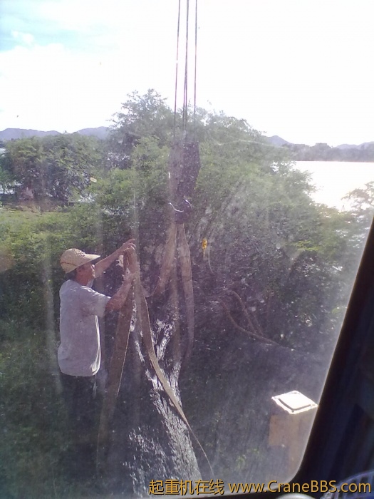20110614318.jpg