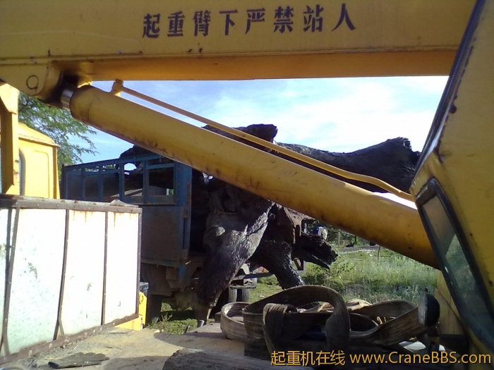 20110614319.jpg