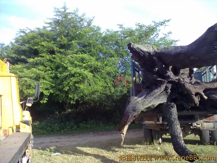 20110614320.jpg