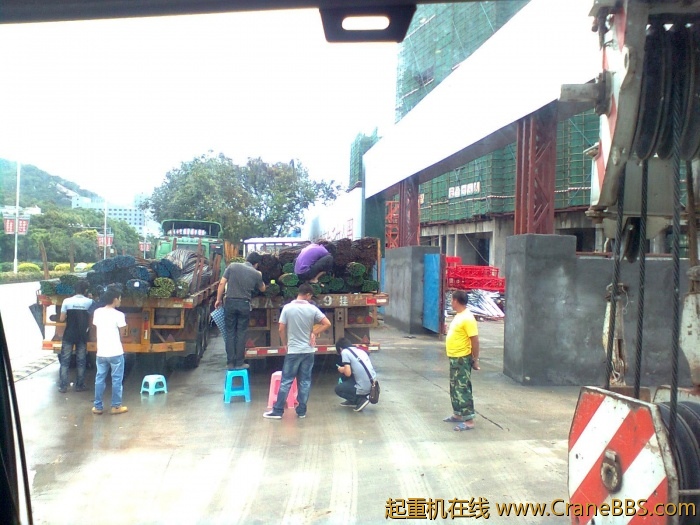 图像0145.jpg